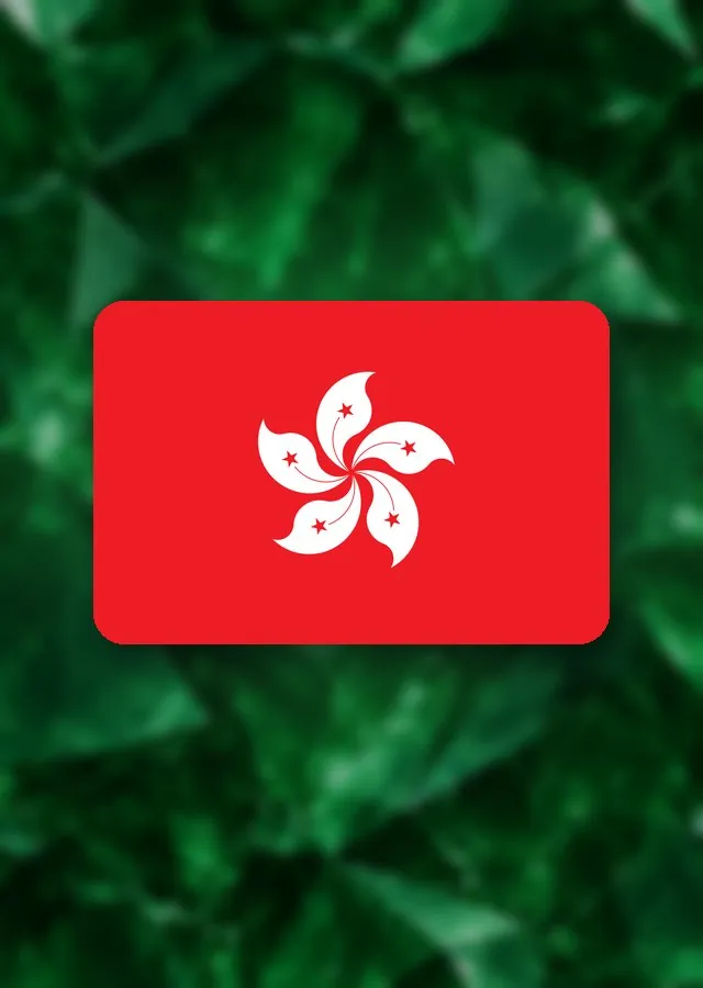 Togel Hongkong Togel Online di DEWALIVE